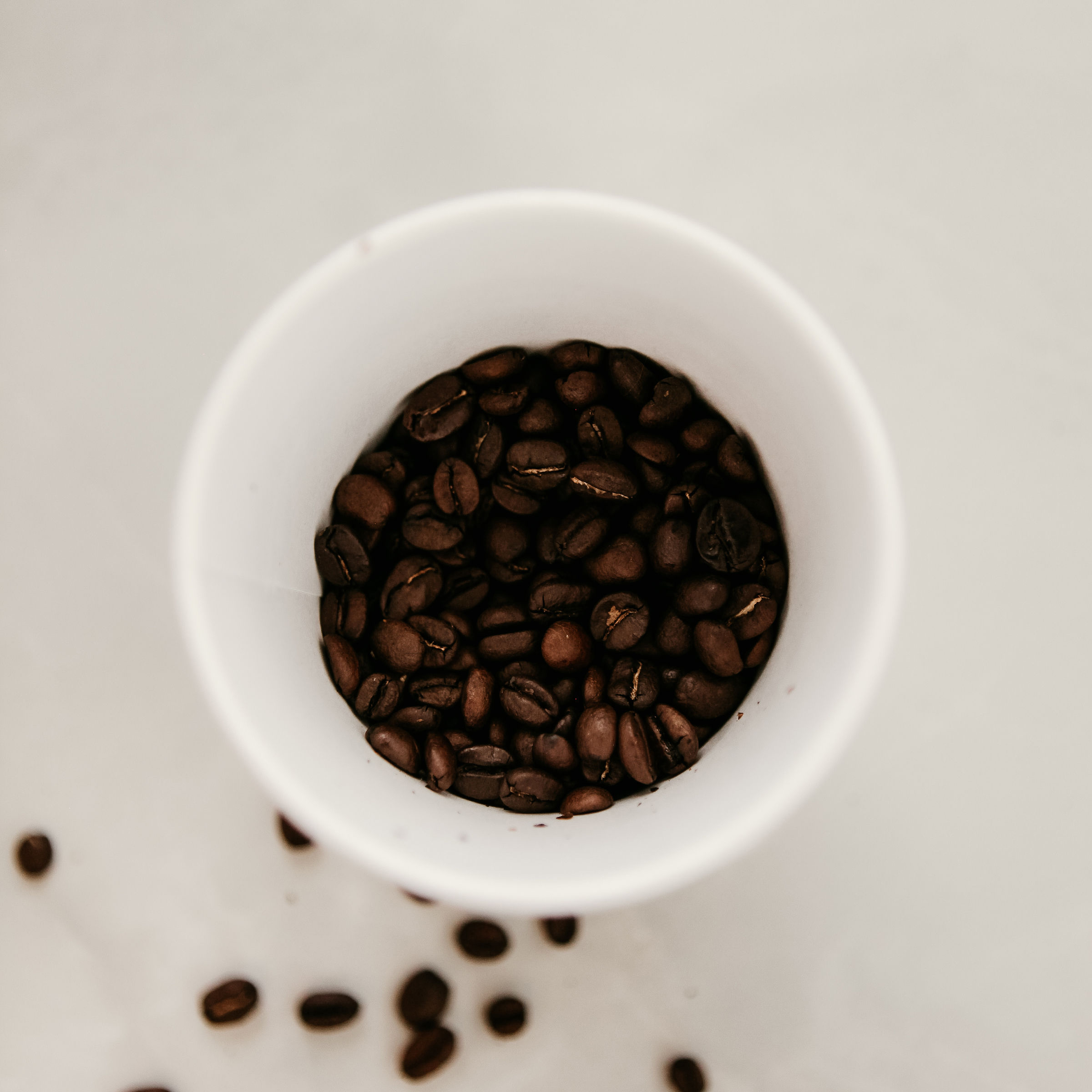 Coffee beans in a coffee cup